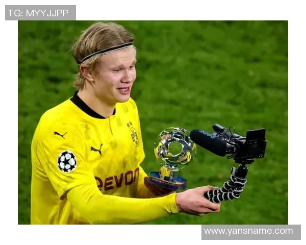 足球球星272：领跑赛场的荣耀与挑战，全新传奇的诞生之路