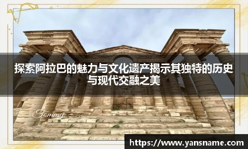 DB旗舰首页
