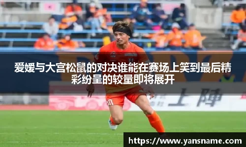 DB旗舰官网