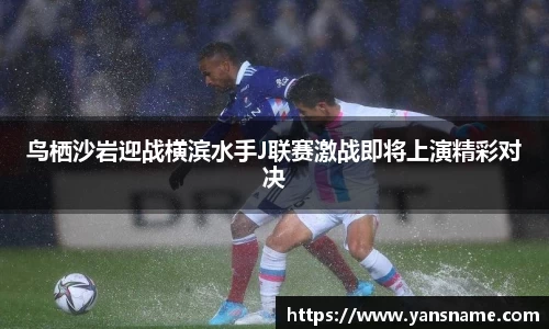 DB旗舰官网