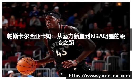 DB旗舰首页