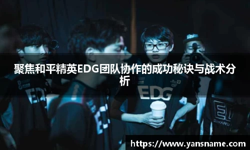 DB旗舰官网